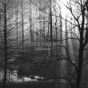 Tate Eskew - oldowan album art